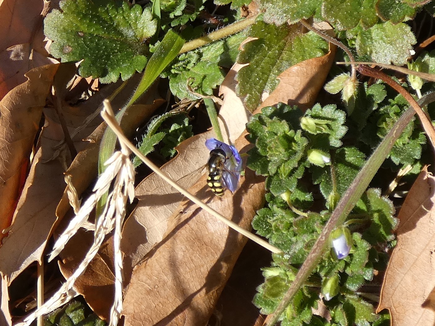 photo_1